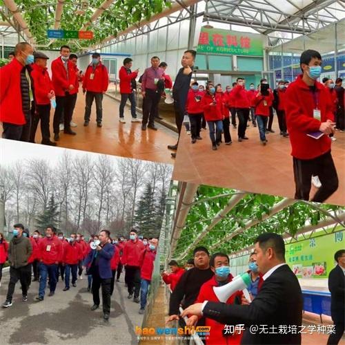 富硒蔬菜无土栽培(土壤含富硒)-硒宝网