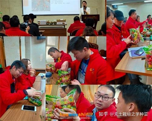 富硒蔬菜无土栽培(土壤含富硒)-硒宝网