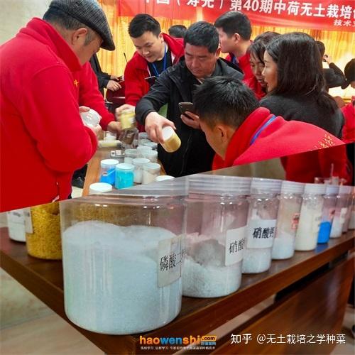 富硒蔬菜无土栽培(土壤含富硒)-硒宝网