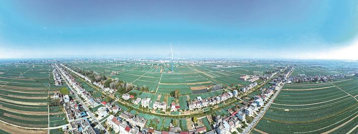 万亩富硒绿色蔬菜（富硒蔬菜的好处）-硒宝网