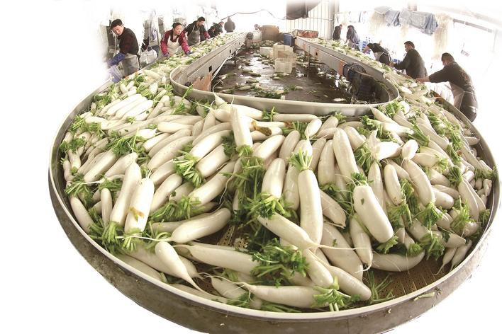 万亩富硒绿色蔬菜（富硒蔬菜的好处）-硒宝网