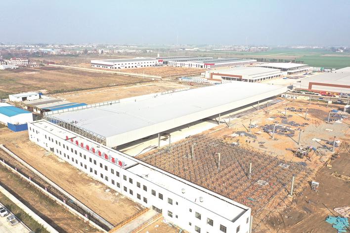 万亩富硒绿色蔬菜（富硒蔬菜的好处）-硒宝网