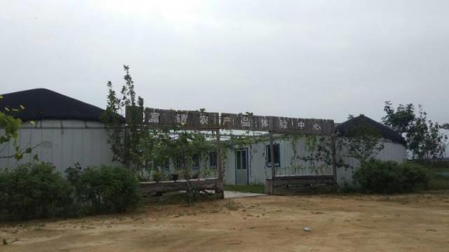 富硒蔬菜价格行情(富硒蔬菜多少钱一斤)-硒宝网