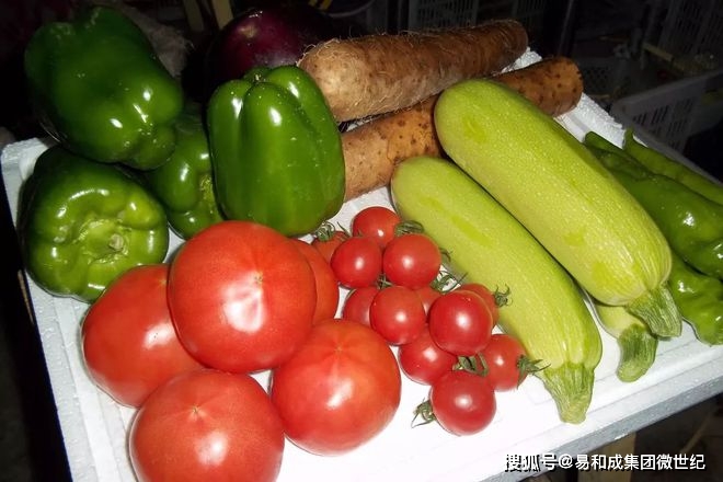 富硒蔬菜商标名称（蔬菜商标名称大全）-硒宝网