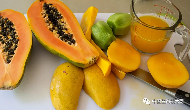 富硒蔬菜保鲜期长（蔬菜长期保存）-硒宝网