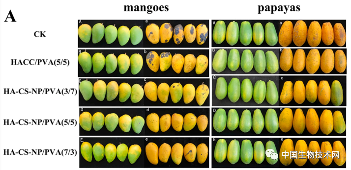 富硒蔬菜保鲜期长（蔬菜长期保存）-硒宝网
