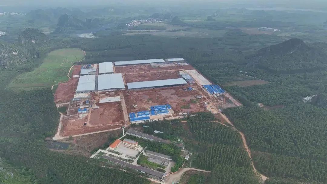 一品元素富硒蔬菜(一品蔬菜元素富硒含量)-硒宝网