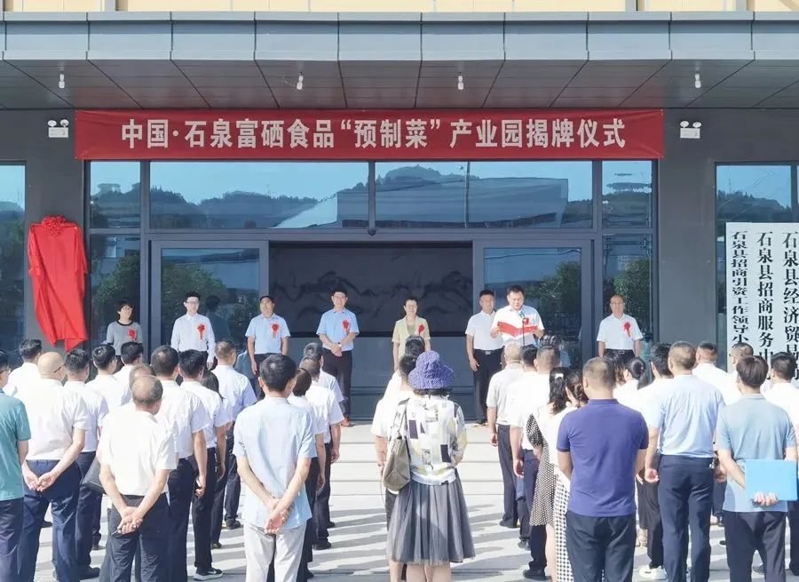 一品元素富硒蔬菜(一品蔬菜元素富硒含量)-硒宝网