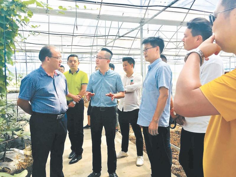 四川富硒蔬菜基地（四川富硒地区）-硒宝网