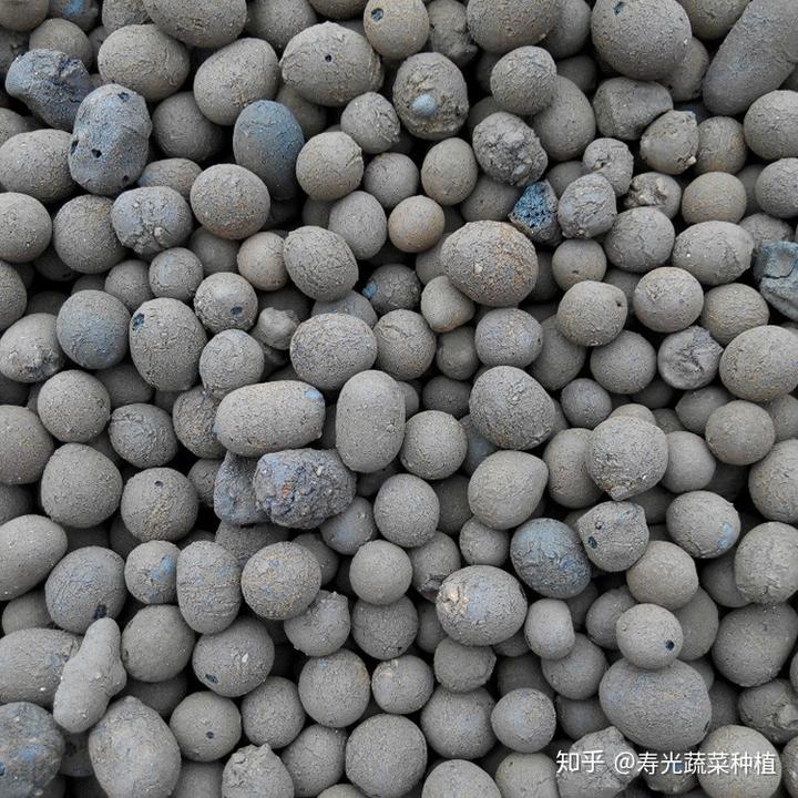 富硒蔬菜无土栽培（富硒蔬菜为什么不能喷洒叶面肥）-硒宝网