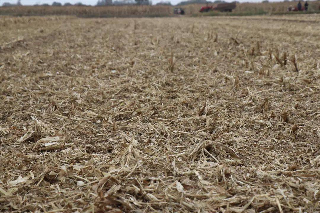 富硒肥水果专用型(水果富硒标准)-硒宝网