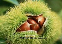 于都富硒特产水果（于都富硒大米）-硒宝网