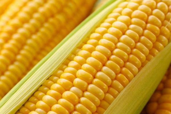 富硒蔬菜栽培技术(栽培蔬菜富硒技术视频)-硒宝网