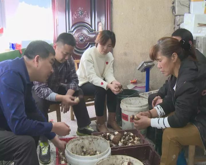 富硒蔬菜保鲜期长(蔬菜长期保鲜怎么处理)-硒宝网