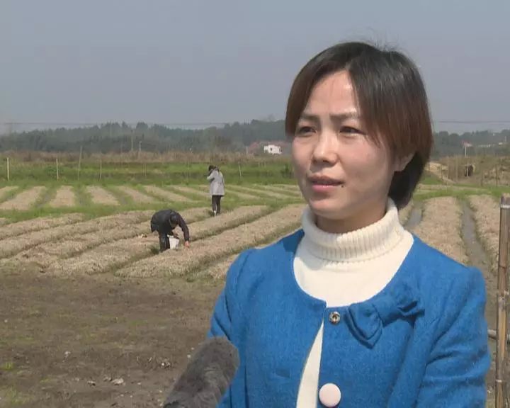 富硒蔬菜保鲜期长(蔬菜长期保鲜怎么处理)-硒宝网