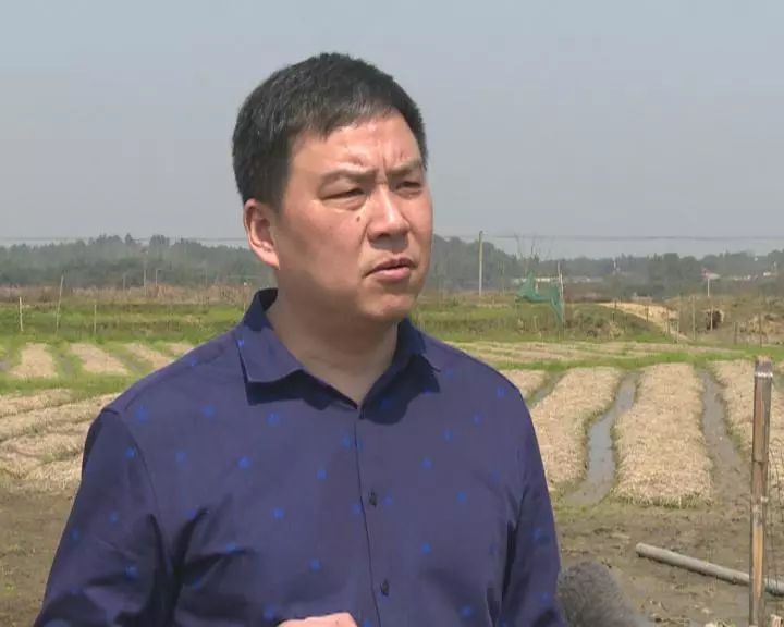 富硒蔬菜保鲜期长(蔬菜长期保鲜怎么处理)-硒宝网