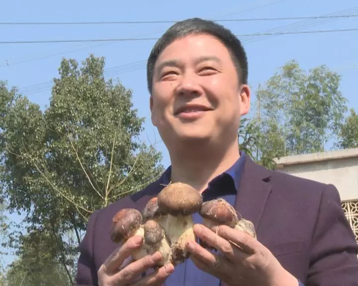 富硒蔬菜保鲜期长(蔬菜长期保鲜怎么处理)-硒宝网