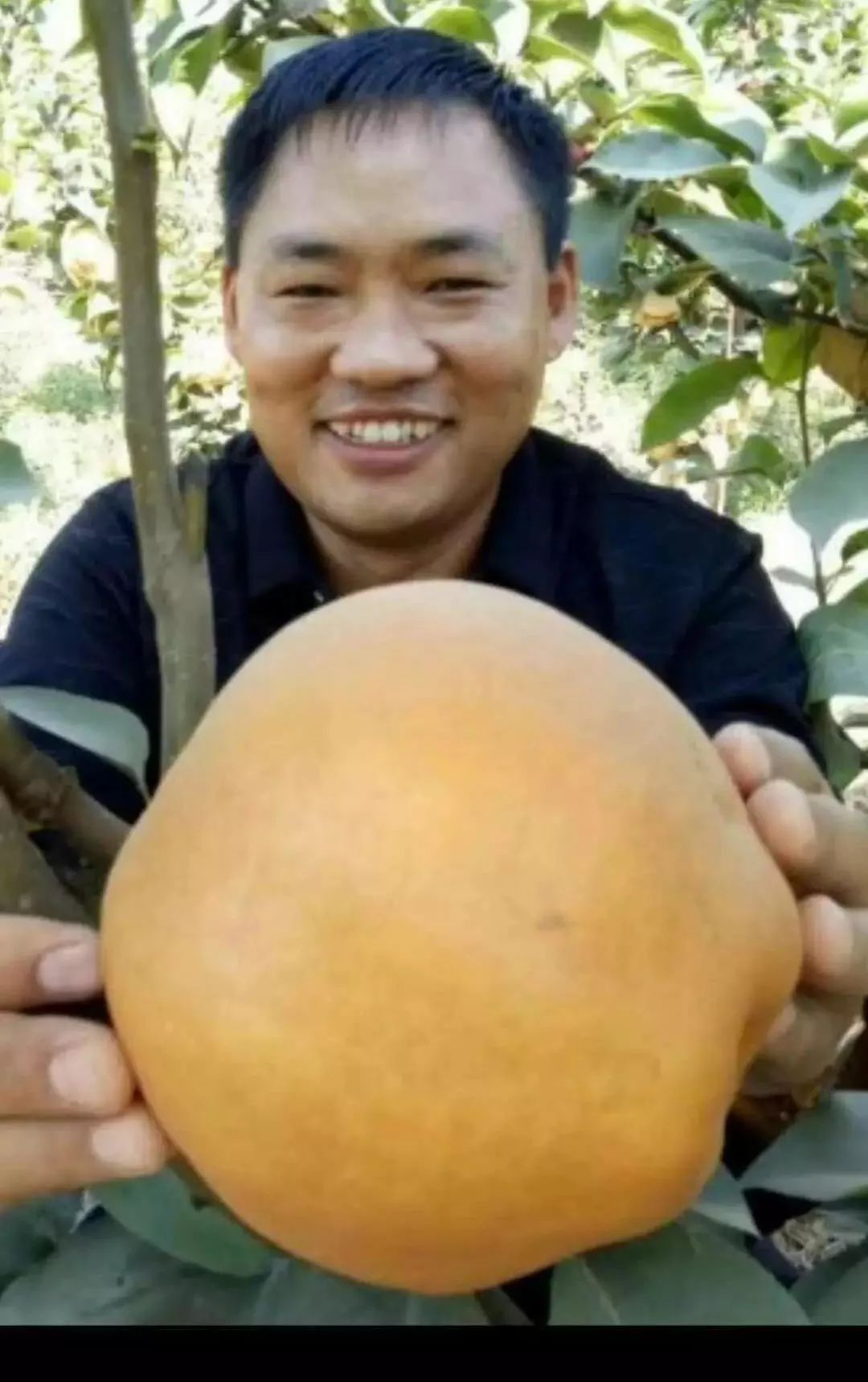 湖北恩施富硒水果(湖北恩施富硒农产品)-硒宝网