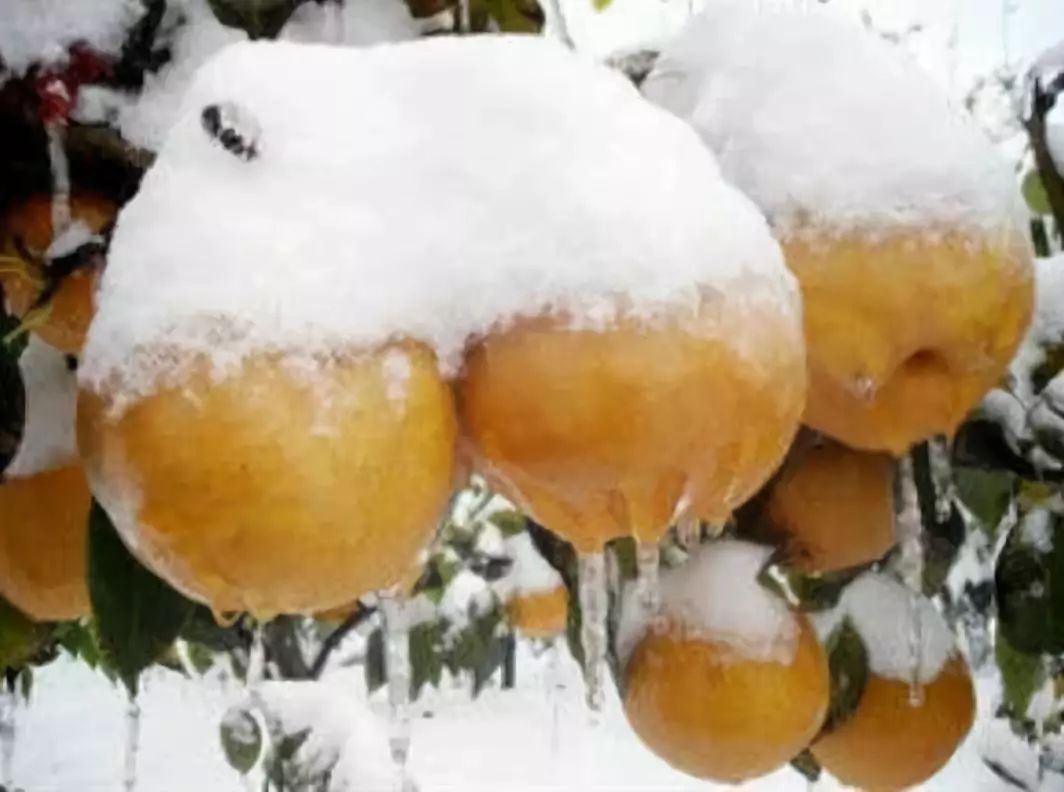 湖北恩施富硒水果(湖北恩施富硒农产品)-硒宝网