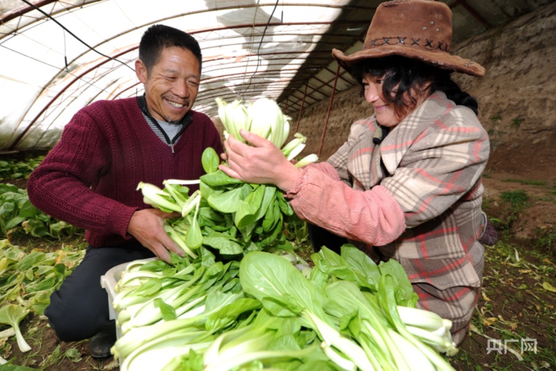 富硒水果项目效应（富硒水果前十名）-硒宝网