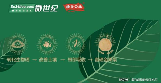 什么水果富硒多少（水果富硒有机无公害的认证）-硒宝网