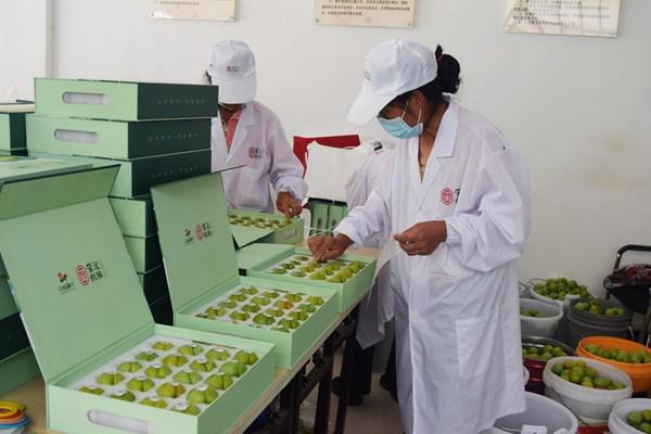 怎样种植富硒水果（富硒水果的标准是多少）-硒宝网