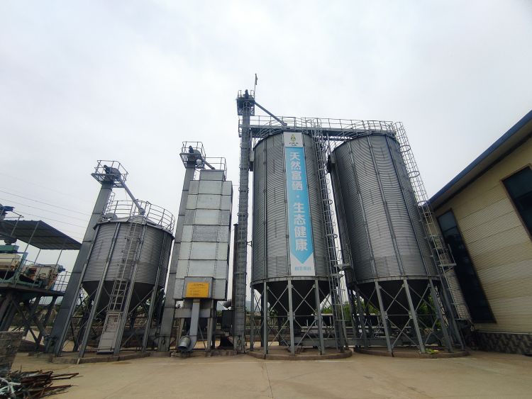 桓台富硒水果销售(富硒水果种植技术)-硒宝网