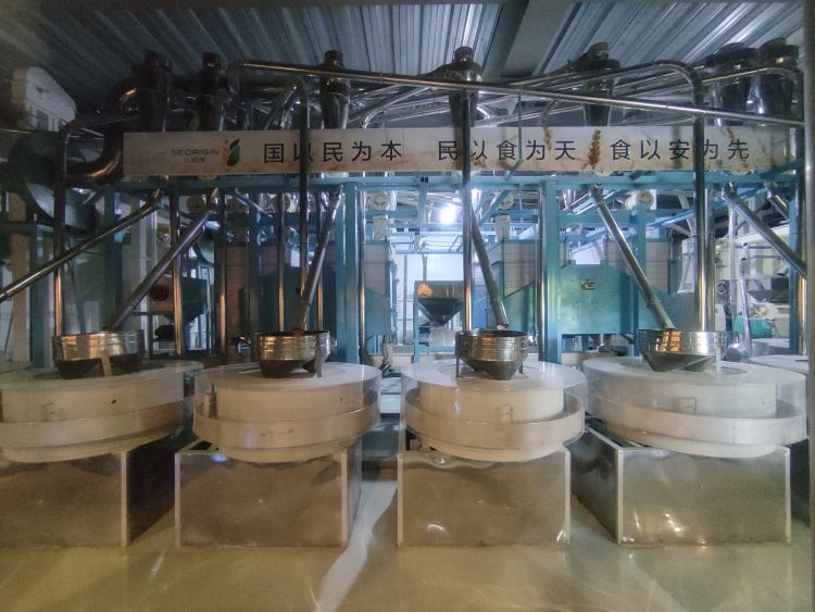 桓台富硒水果销售(富硒水果种植技术)-硒宝网