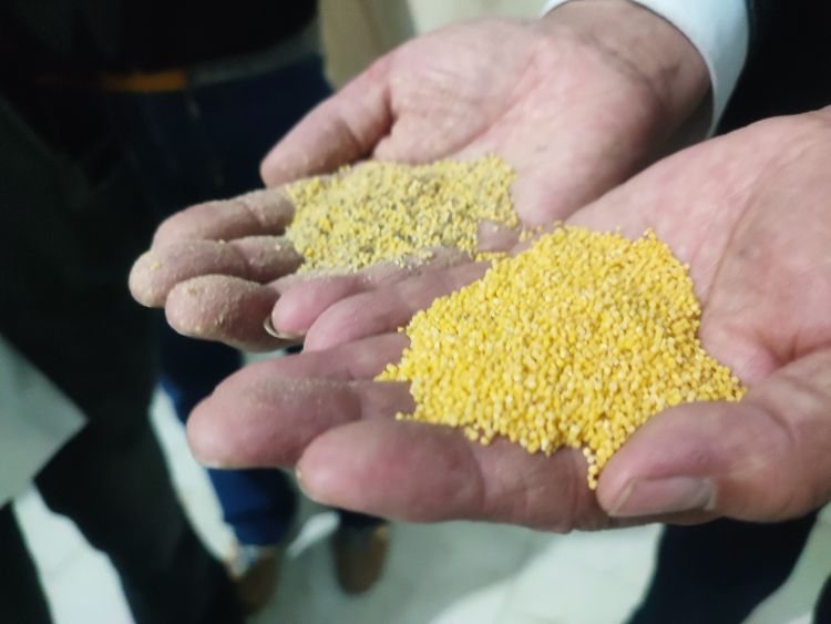 桓台富硒水果销售(富硒水果种植技术)-硒宝网