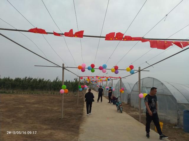 大棚种植富硒水果（大棚水果种植富硒土壤）-硒宝网