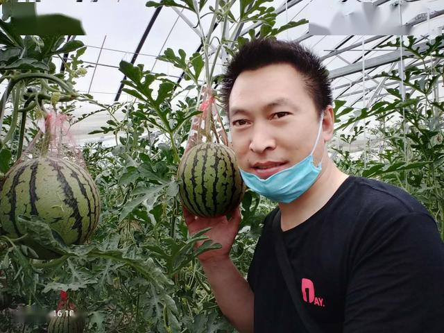 大棚种植富硒水果（大棚水果种植富硒土壤）-硒宝网