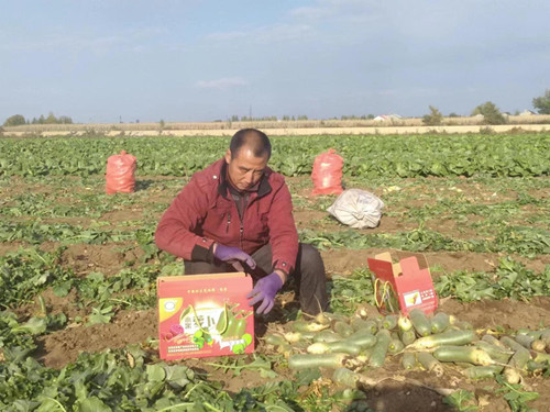 富硒水果种植标准（富硒水果怎么种植）-硒宝网