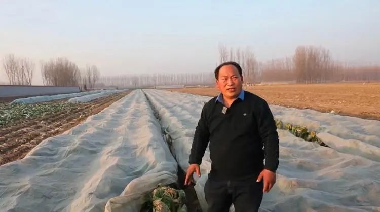 富硒蔬菜批发价格（富硒蔬菜多少钱一斤）-硒宝网