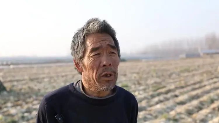 富硒蔬菜批发价格（富硒蔬菜多少钱一斤）-硒宝网