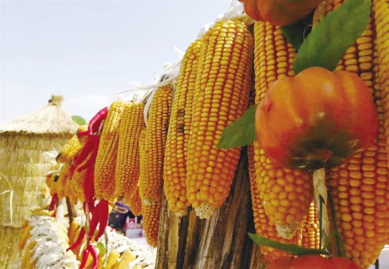 富硒水果哪里买到(买到水果富硒怎么办)-硒宝网