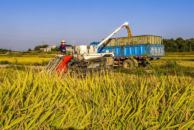 昌乐富硒水果基地（补硒吃什么水果有哪些）-硒宝网