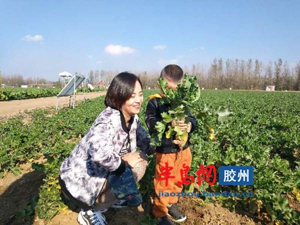 富硒水果萝卜口感（萝卜富含的营养素）-硒宝网