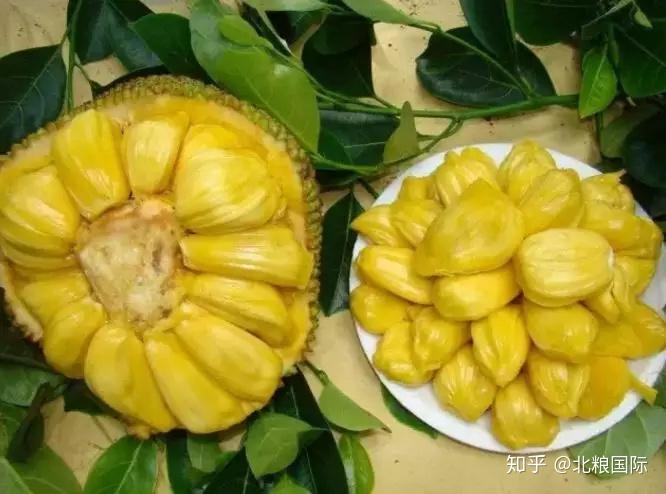 天然富硒水果皇后（皇后水果天然富硒多少钱）-硒宝网