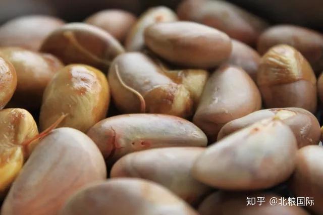 天然富硒水果皇后（皇后水果天然富硒多少钱）-硒宝网