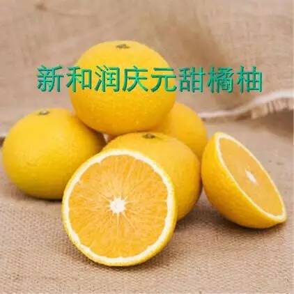 雅安富硒水果种植（富硒水果种植技术）-硒宝网