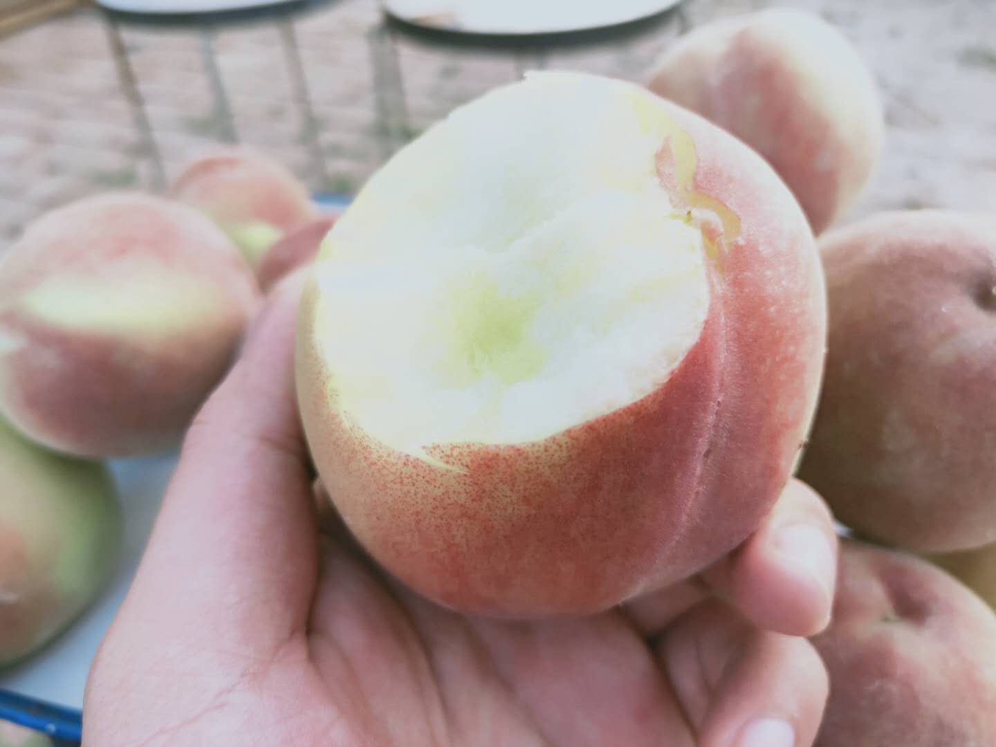 富硒水果种植云南（云南水果种植富硒基地）-硒宝网