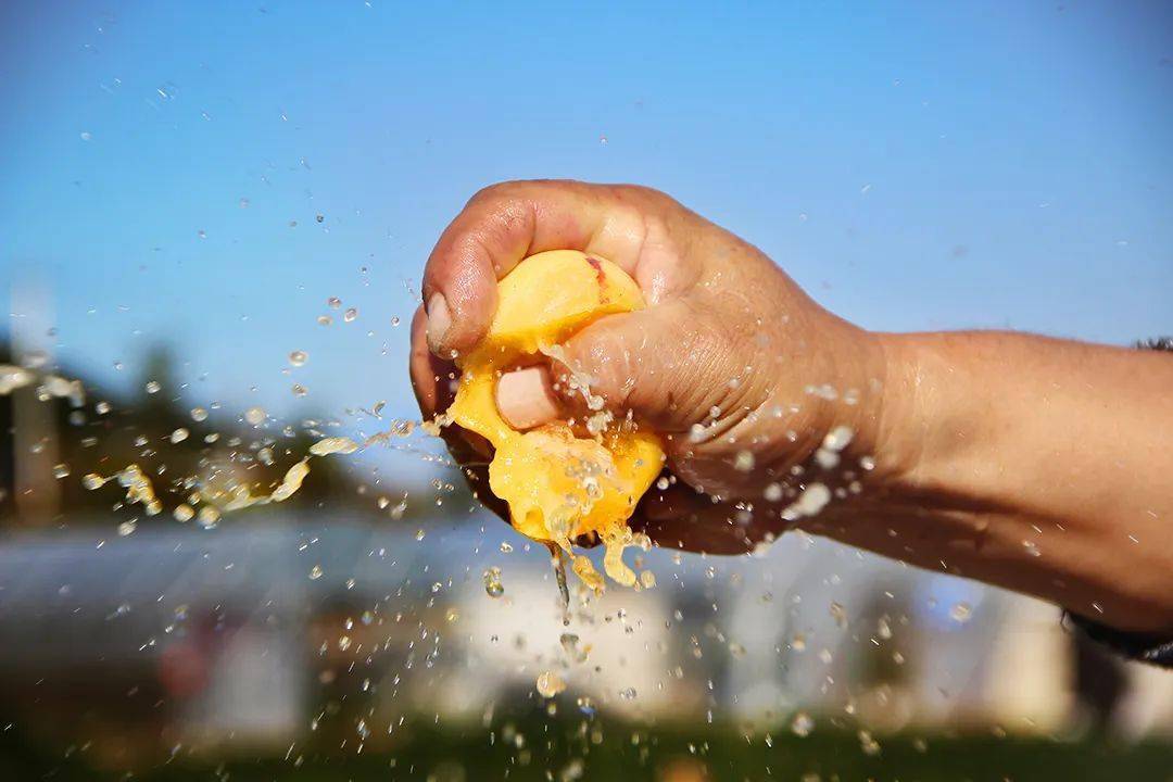 富硒水果修剪视频（富硒水果修剪视频）-硒宝网