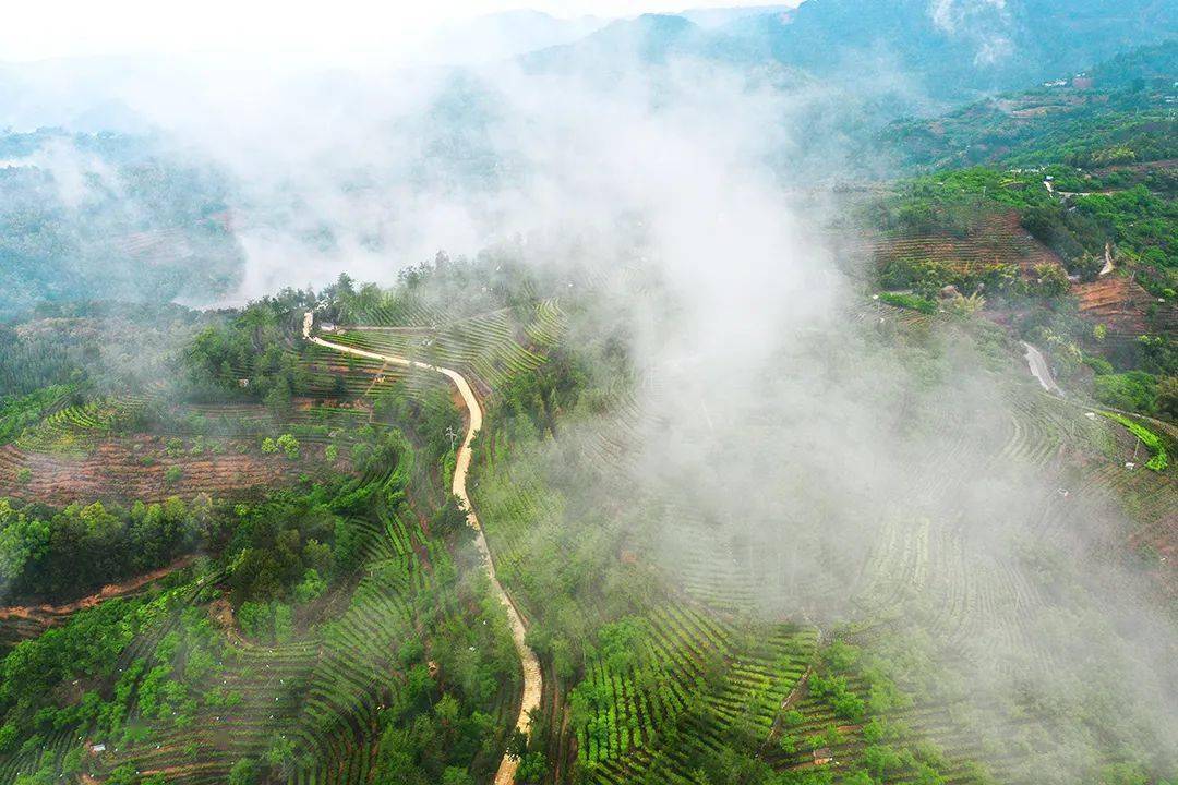 富硒水果修剪视频（富硒水果修剪视频）-硒宝网