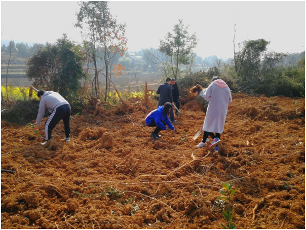 湖田富硒水果采摘(富硒果园)-硒宝网