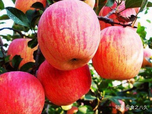 各种富硒水果简介（富硒水果的国家标准是多少）-硒宝网