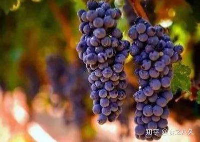 各种富硒水果简介（富硒水果的国家标准是多少）-硒宝网