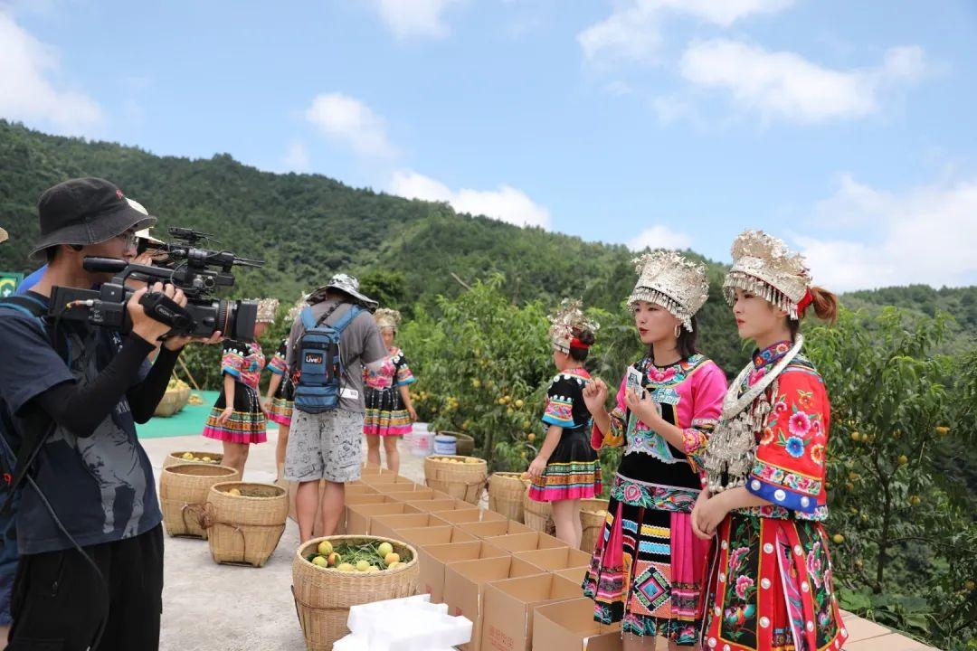 麻阳富硒水果标准（富硒水果硒含量标准）-硒宝网