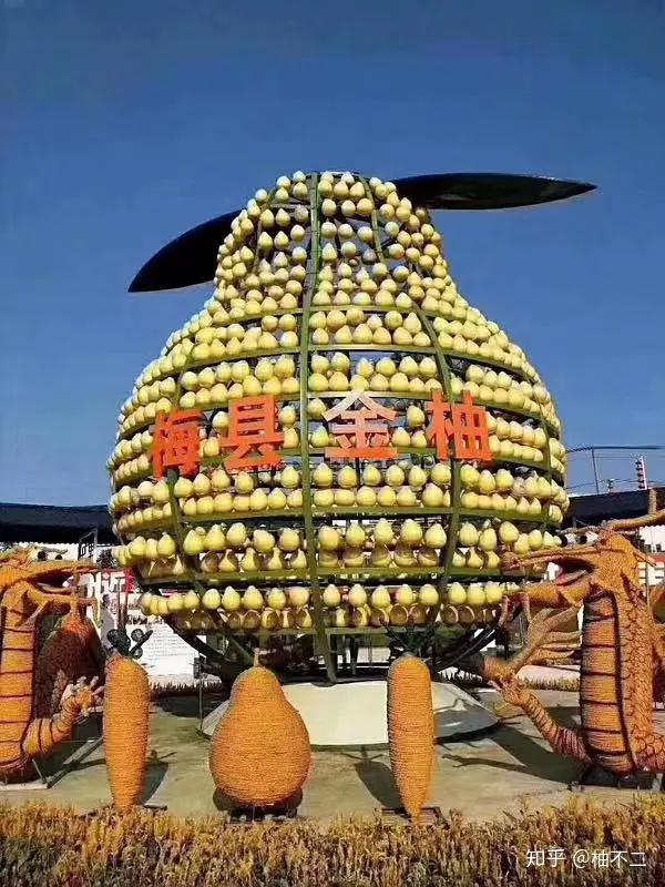 富硒土种什么水果（富硒土壤适合种植什么）-硒宝网