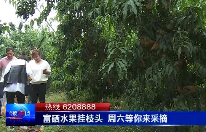 田园富硒水果采摘（富硒水果种植技术）-硒宝网