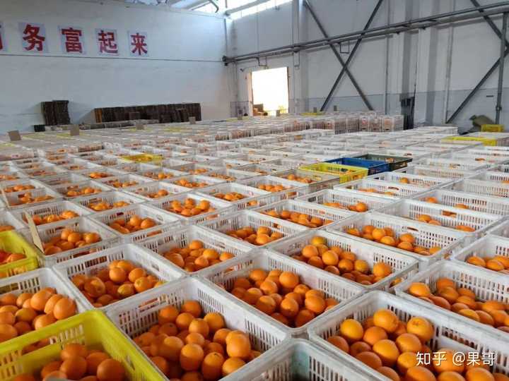 富硒水果怎么种植（水果种植富硒的好处）-硒宝网